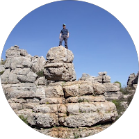 Macael